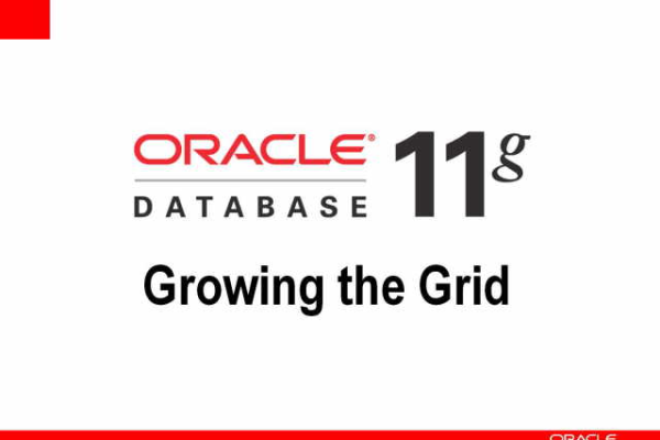 Oracle 11g正确答案尽在其中  第1张