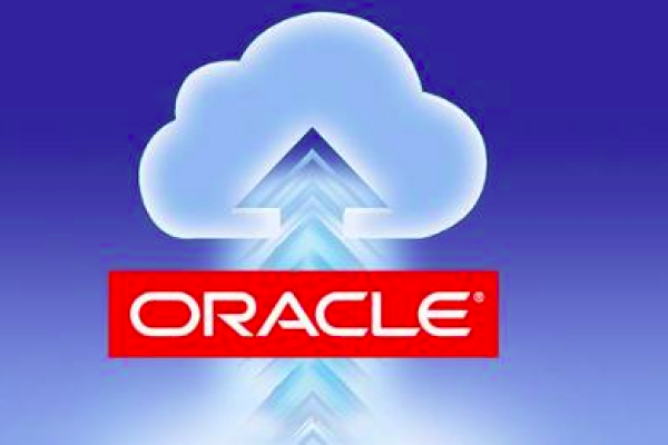 Oracle10单机版，高效稳定的数据库管理工具  第1张