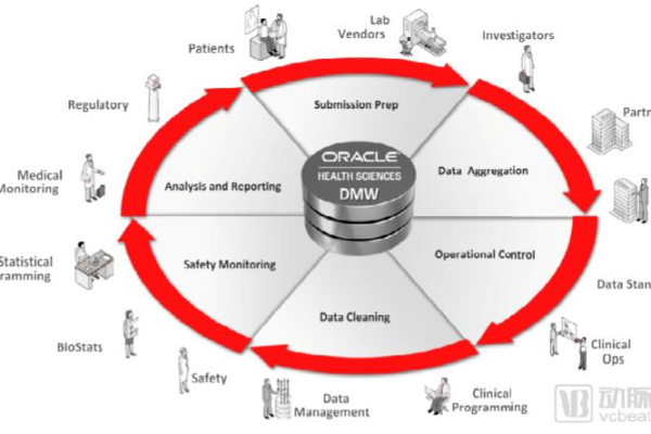 oracle云计算战略