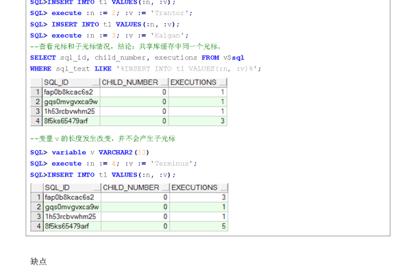 Oracle DB中精准的01串加法计算