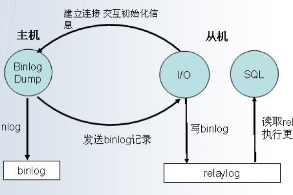 mysql主从备份如何做