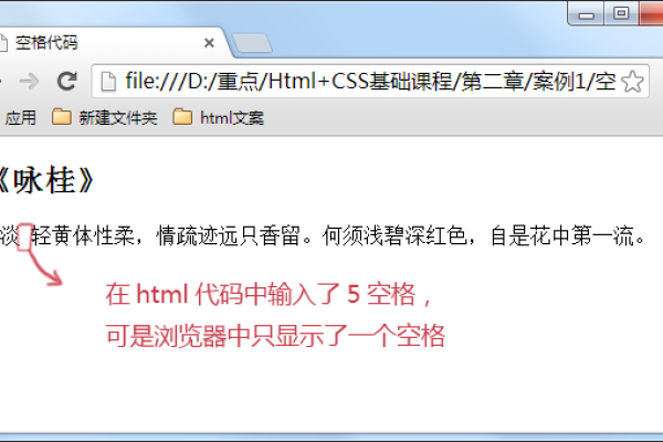 html里的空格如何使用  第1张