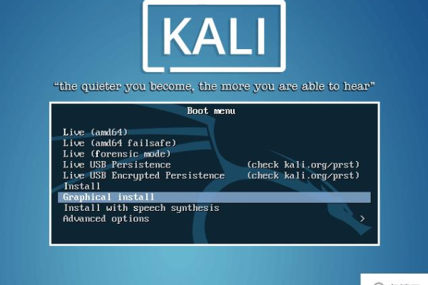 kali linux怎么安装