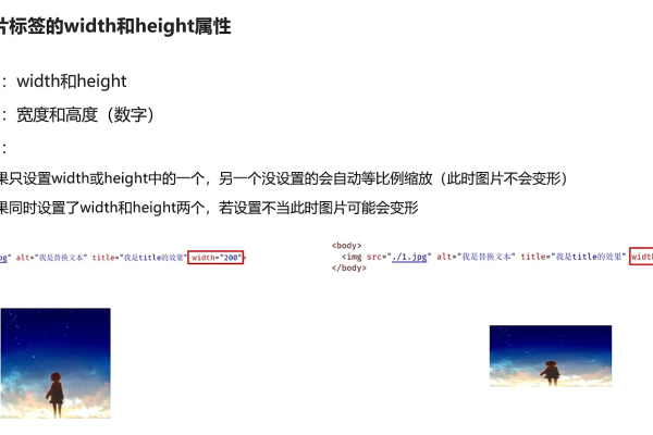 用html如何增加图片