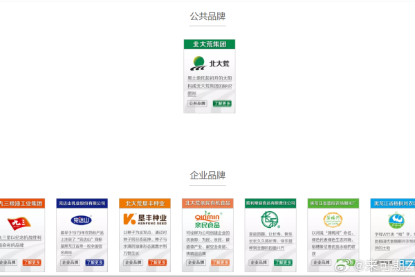 公司建多个网站_分公司或子公司网站是否可以备案到总公司备案中