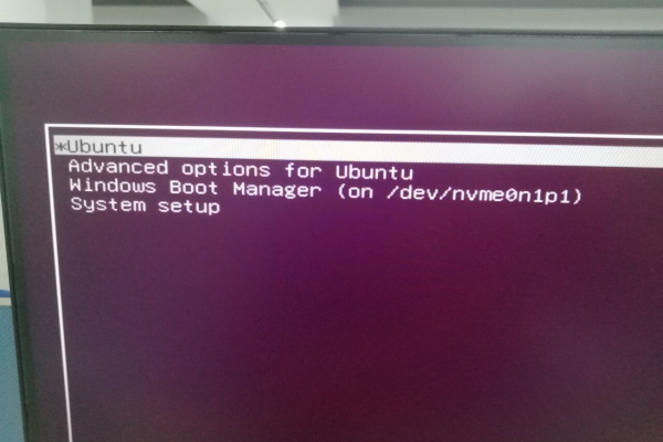 如何在不重新安装的情况下修复损坏的Ubuntu OS