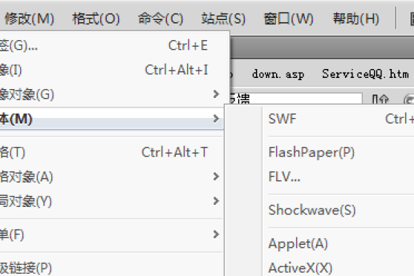 html如何加入swf