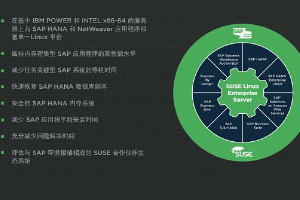 suse linux for sap  第1张