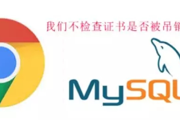 mysql ssl连接是什么