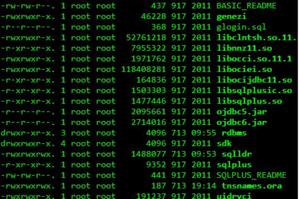 linux怎么看oracle实例  第1张