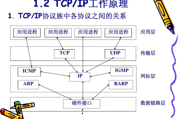 了解TCP/IP服务器的工作原理与应用 (tcp ip服务器)