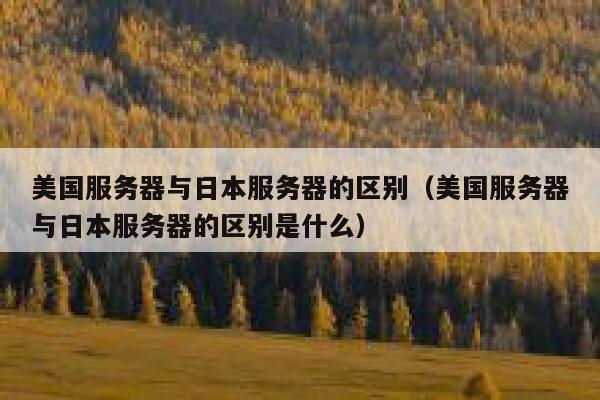 美国,韩国和日本服务器的区别及影响因素分析