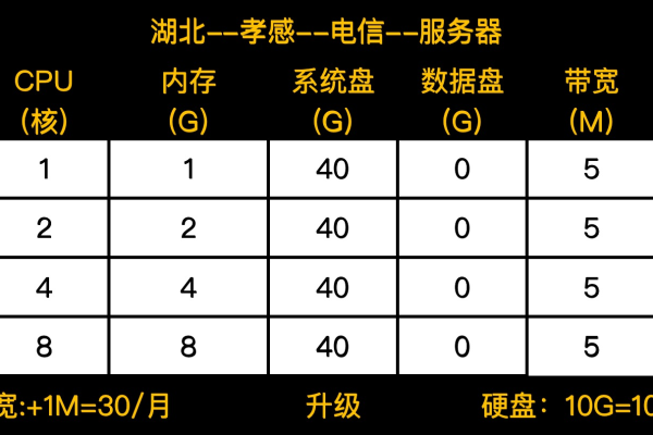 大网数据：武汉/十堰/温州默认高防云400元/年起(4核/4G内存/10M带宽)，高防独立服务器385元/E5-2650v2*2/32g内存/480gSSD/50M带宽