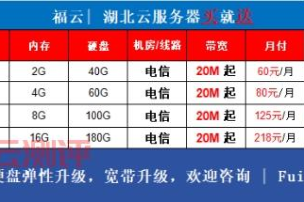 [11.11]大网数据：湖北100G高防云111.1元/季，1111元/3年起，湖北高防独服务器299元/月（50M带宽+200G高防）