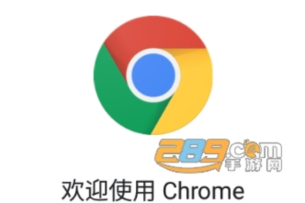 Chrome浏览器(chrome浏览器安卓版下载)（chrome浏览器官方下载 安卓）