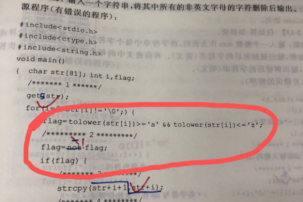 c语言flag怎么用  第1张