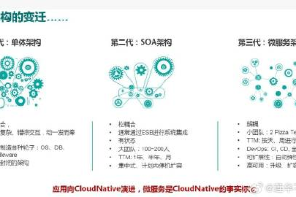 揭秘星巴克的数字化核心，服务器源码究竟包含哪些秘密？