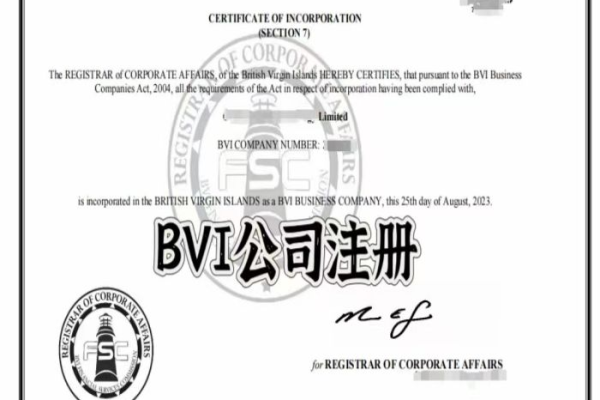 BVI公司注册有哪些具体要求？