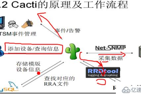 在Cacti中部署自动服务发现的工具和技巧有哪些