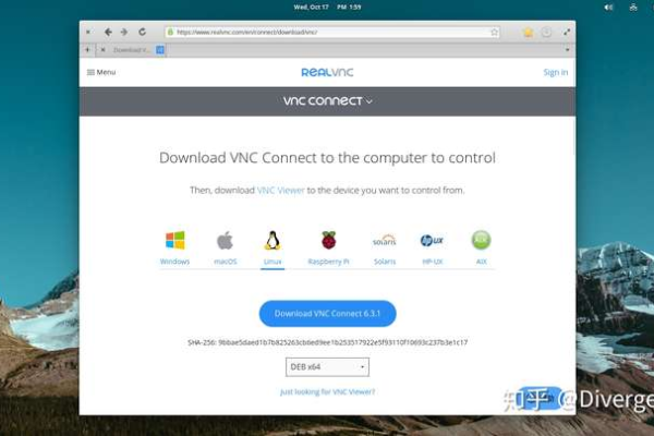 RealVNC在Linux系统中如何安装与配置？  第1张