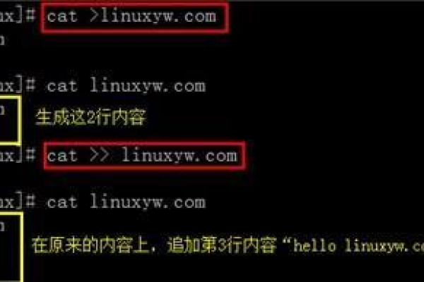 linux的cat命令如何使用