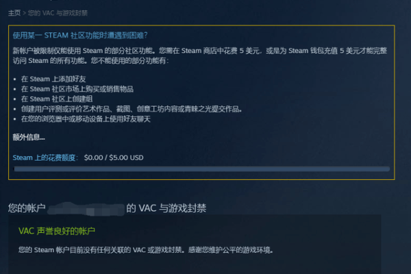 Steam美国服务器延迟问题：原因与解决方案