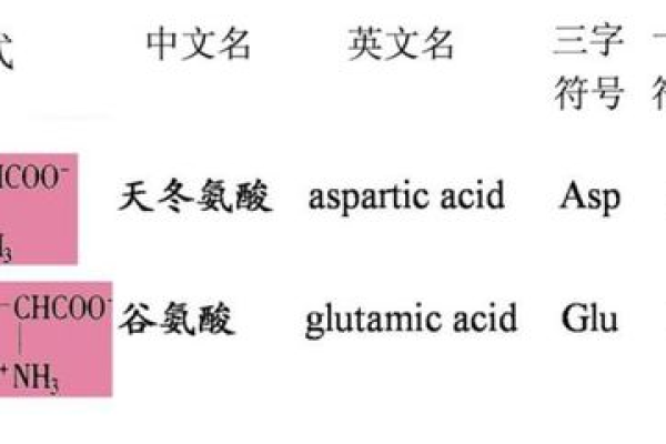 ASP 的拼音首字母是什么？