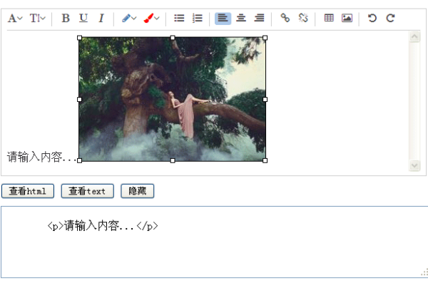 如何html文本编辑器  第1张
