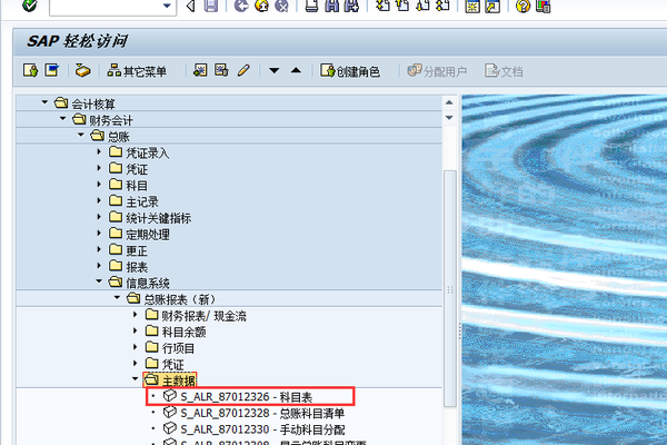 sap 会记期间报错  第1张