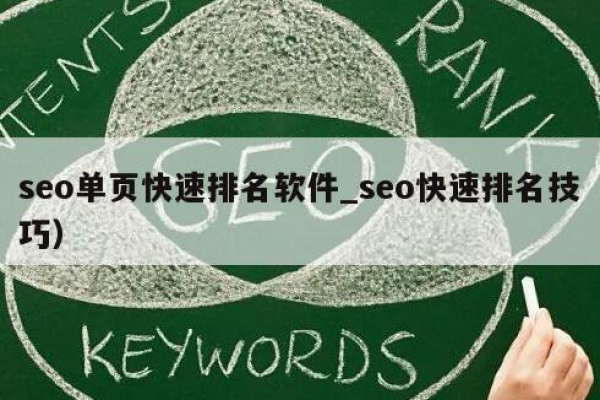 seo快速排名软件网址  第1张