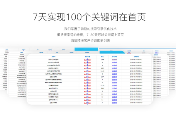 网站关键词优化软件是什么,如何使用网站关键词优化软件提高搜索引擎排名