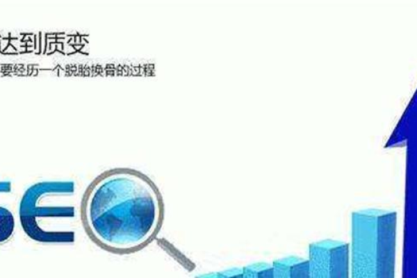 如何进行seo优化分析,seo优化分析的重要性