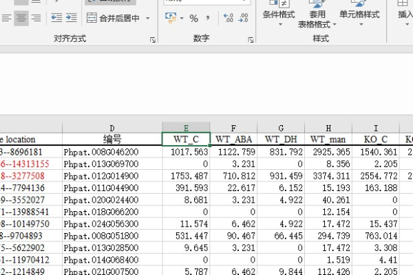 表格中的wk究竟是什么意思？