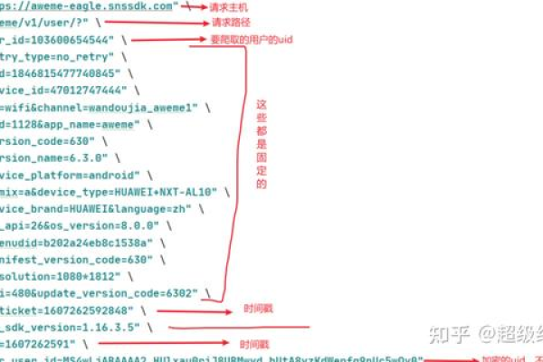 如何利用B站API进行数据抓取与分析？