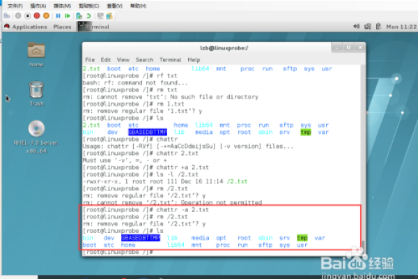 linux 下 chattr 命令的使用  第1张