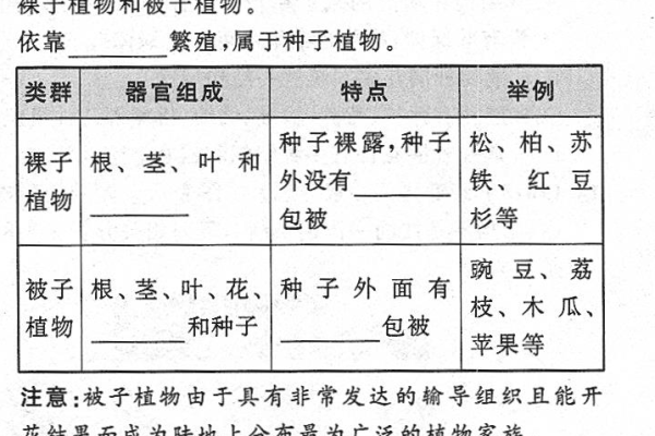 什么是‘种子后缀’？它有何用途与特点？