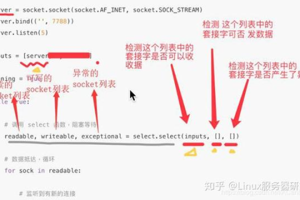 服务器编程有什么用呢知乎