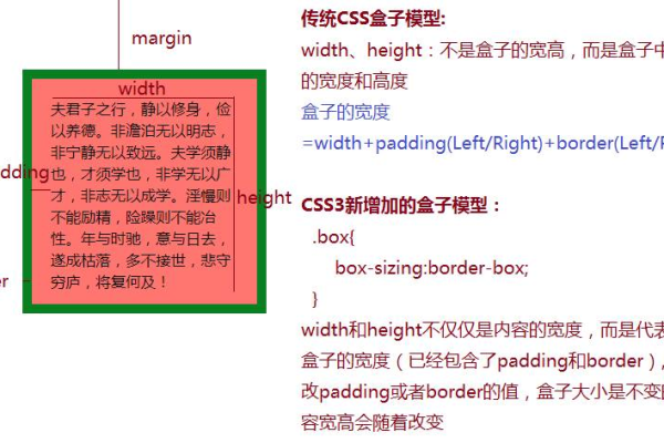 css盒模型有哪几部分