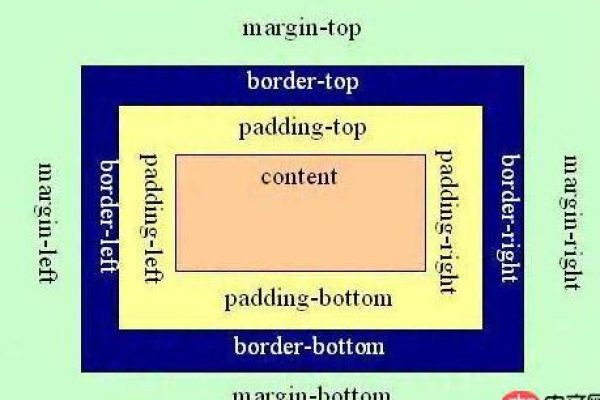 css盒模型有哪些