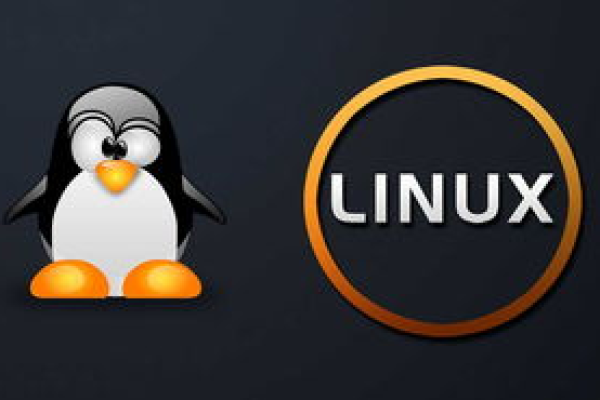 Linux系统能干嘛  第1张