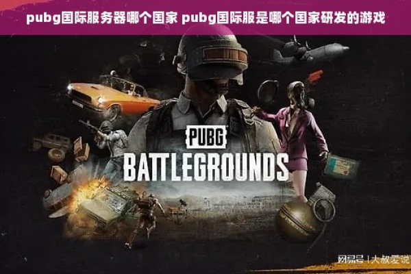 pubg手游版选什么服务器  第1张