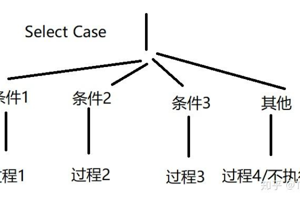 在编程中，常见的分支结构有哪几种？