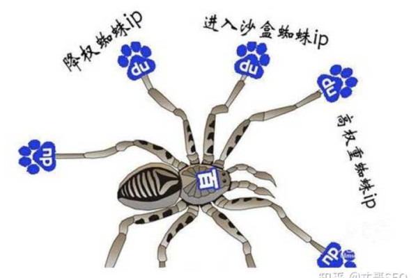 站群和蜘蛛池区别  第1张