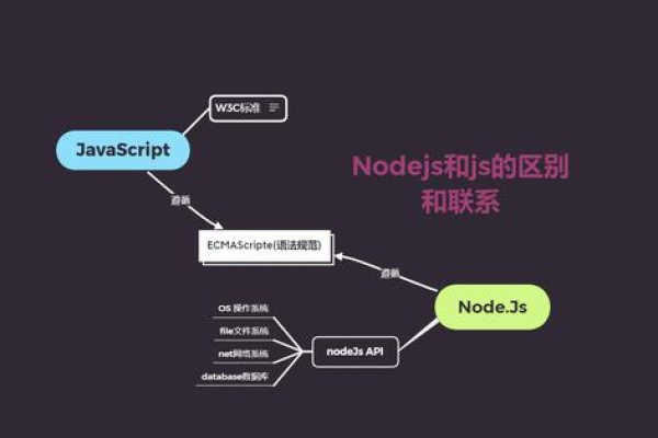 Node在计算机领域中具体指代什么？