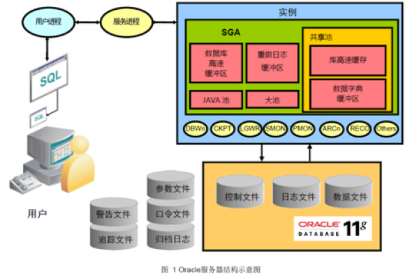 Oracle一体机新一代信息管理系统