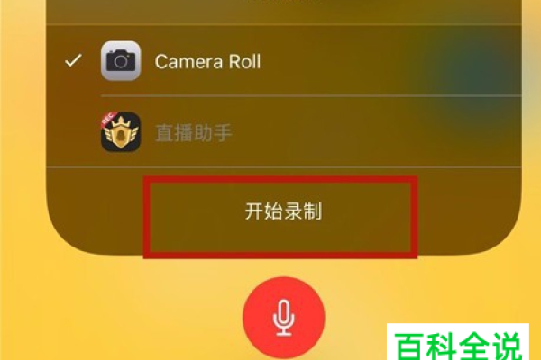 如何在iPhone上修复屏幕录制中没有声音的问题