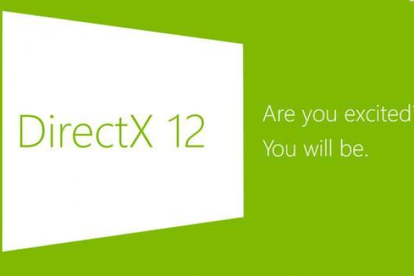 支持directx 11