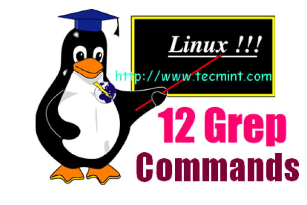 linux的newgrp  第1张