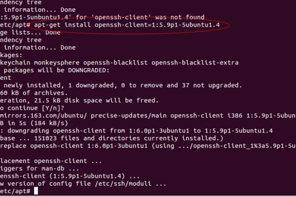 ubuntu安装openssh-server包  第1张