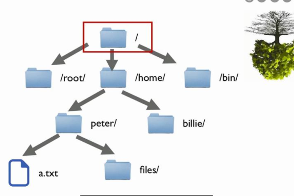 linux绝对路径和相对路径的区别